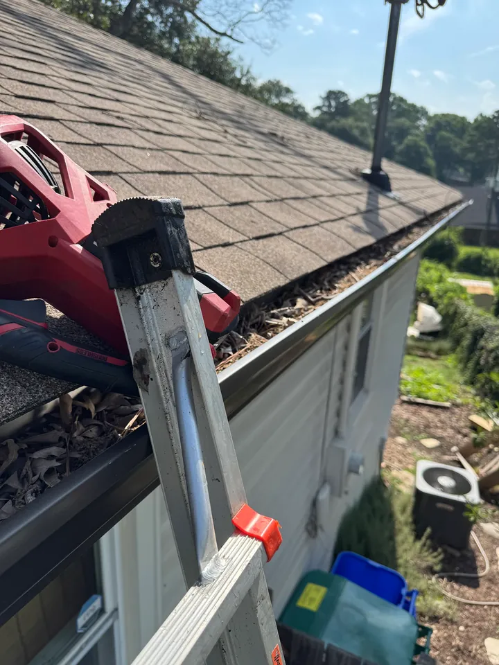 An extension ladder and blower beside a roof edge and a gutter containing leaves.